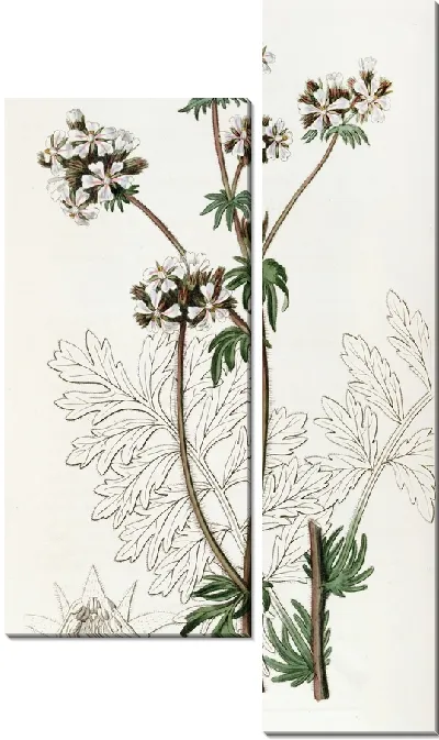 Картина Сумеречная Хоркелия (1815-1819)