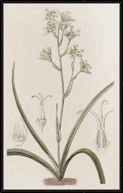 Картина Главный Зигаден (1815-1819)