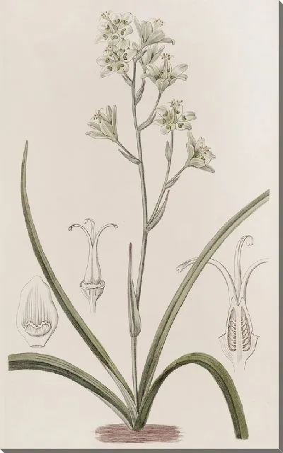 Картина Главный Зигаден (1815-1819)
