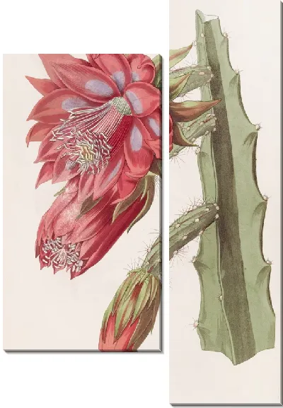Картина Садовая эстрада (1815-1819)