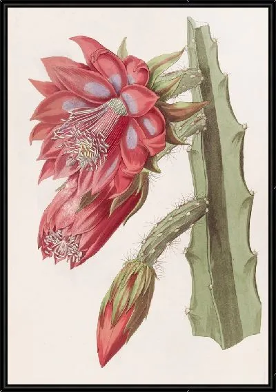 Картина Садовая эстрада (1815-1819)