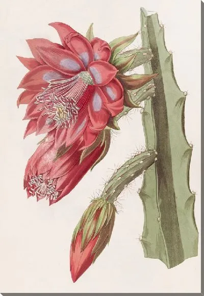 Картина Садовая эстрада (1815-1819)