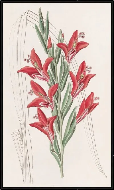 Картина Садовый сорт. (1815-1819)