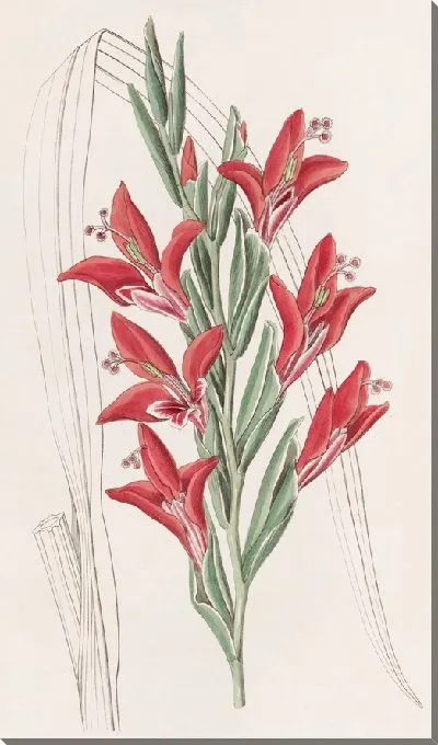 Картина Садовый сорт. (1815-1819)