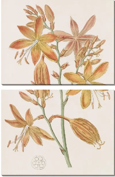 Картина Золотая Тритония (1815-1819)