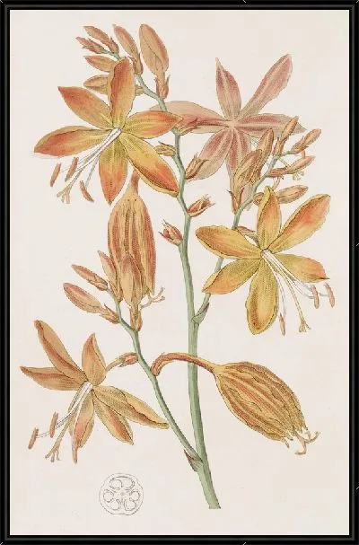 Картина Золотая Тритония (1815-1819)