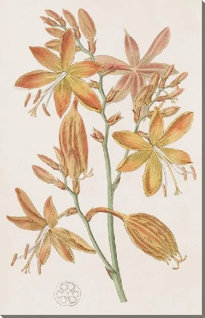 Картина Золотая Тритония (1815-1819)