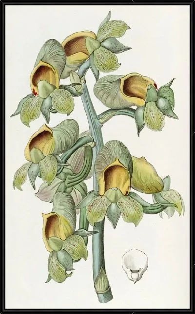 Картина Ковш с зелеными цветами (1815-1819)