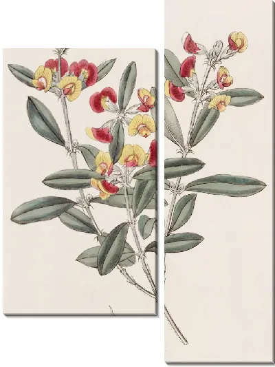 Картина Оксилобий с головой (1815-1819)