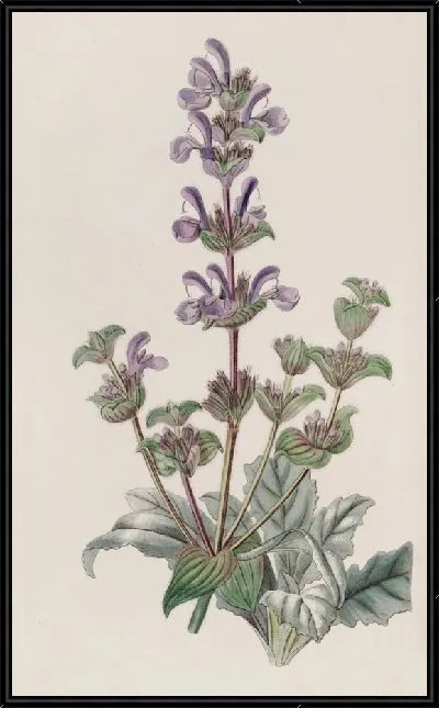 Картина Седой мудрец (1815-1819)