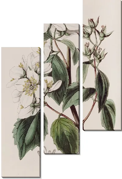 Картина Филадельф Гордона (1815-1819)