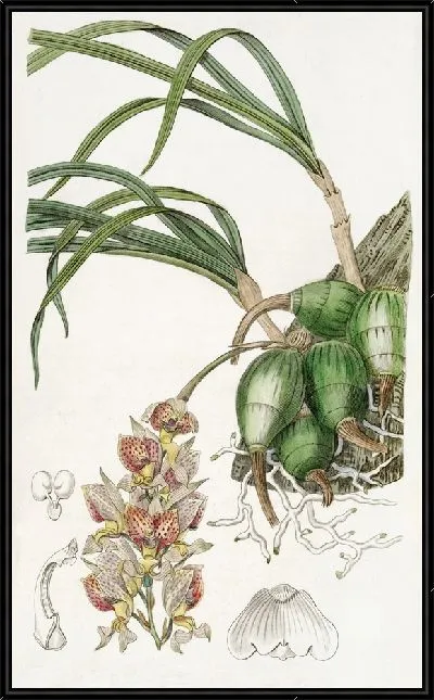 Картина Гробя леди Амхерст (1815–1819)