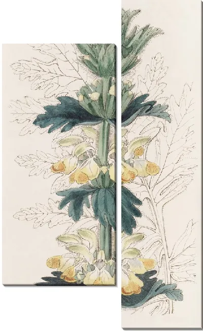 Картина Зазубренный пустынный жезл (1815-1819)