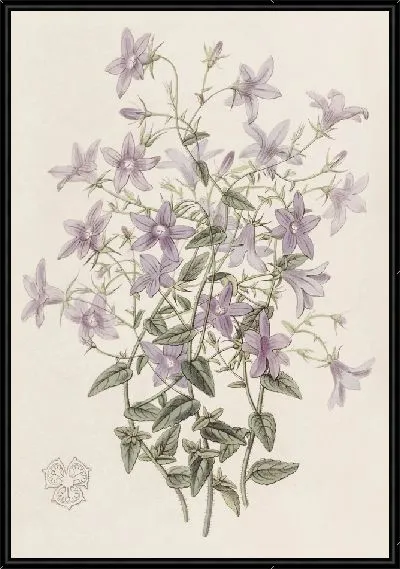 Картина Колокольчик Лафлинга (1815-1819)