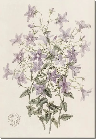 Картина Колокольчик Лафлинга (1815-1819)