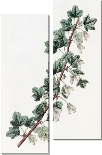 Картина Опьяняющая красная смородина (1815-1819)