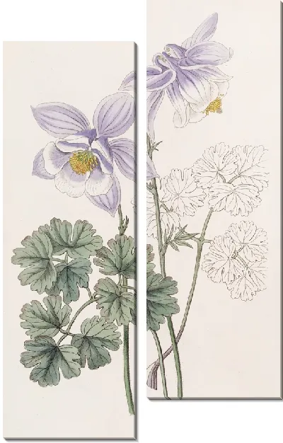 Картина Радостная Коломбина (1815-1819)