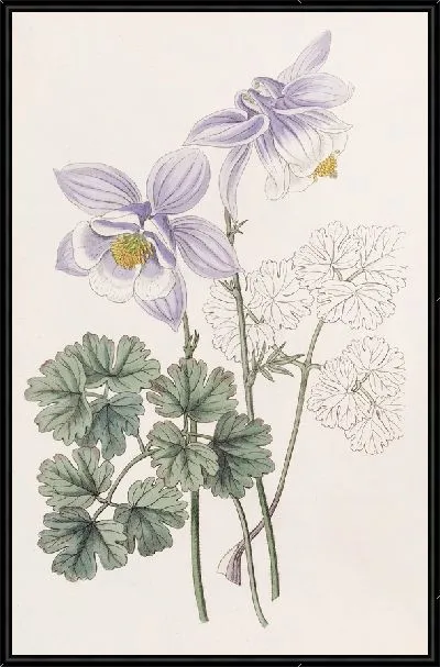 Картина Радостная Коломбина (1815-1819)