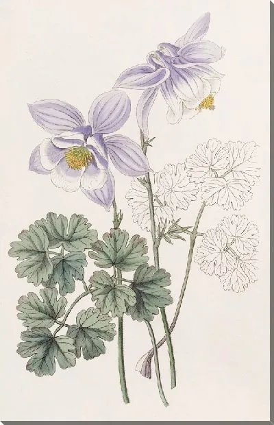 Картина Радостная Коломбина (1815-1819)