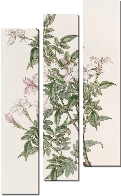 Картина Родственница Жасмин (1815-1819)