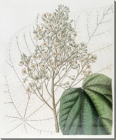 Картина Лофти Браунловия (1815-1819)