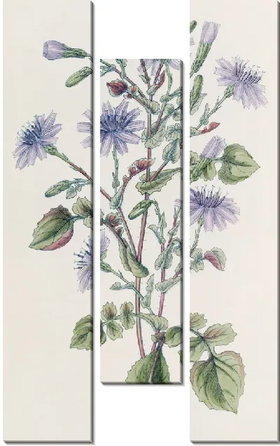 Картина Мульгеде с украшениями (1815-1819)