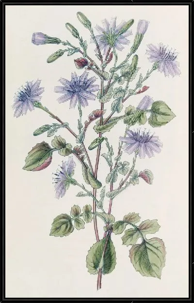 Картина Мульгеде с украшениями (1815-1819)