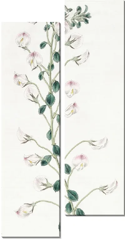 Картина Длинностебельная борона для отдыха (1815-1819)