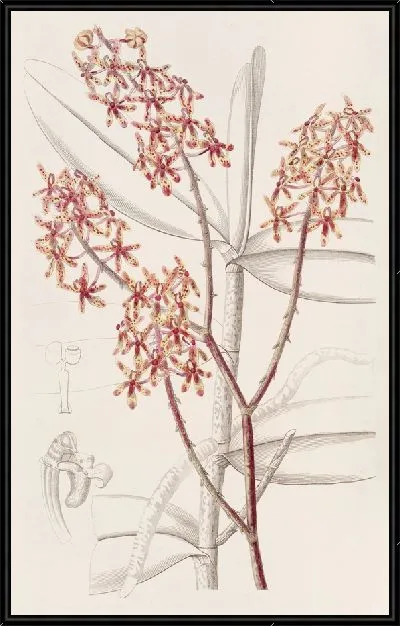 Картина Утренняя Ренантера (1815-1819)