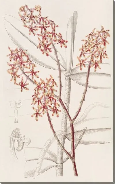 Картина Утренняя Ренантера (1815-1819)