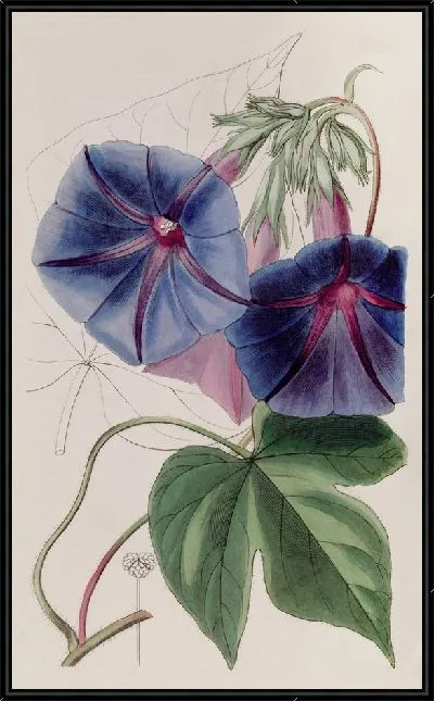 Картина Гейбина мистера Лира (1815-1819)