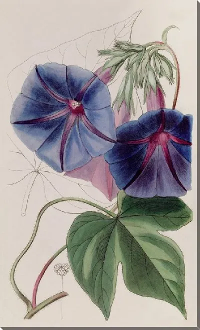 Картина Гейбина мистера Лира (1815-1819)