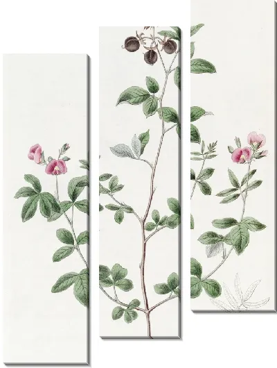 Картина Гомфолобий мистера Найта (1815-1819)