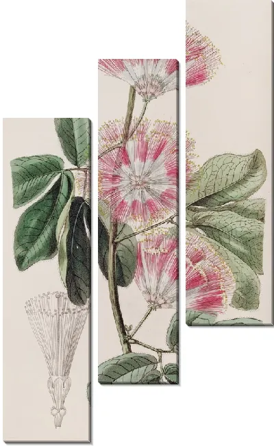 Картина Инга мистера Харриса (1815-1819)