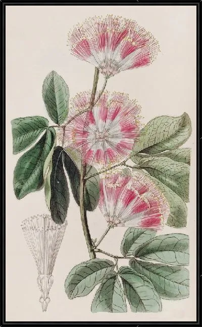 Картина Инга мистера Харриса (1815-1819)