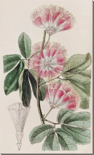 Картина Инга мистера Харриса (1815-1819)