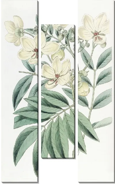 Картина Кассия г-на Герберта (1815-1819)