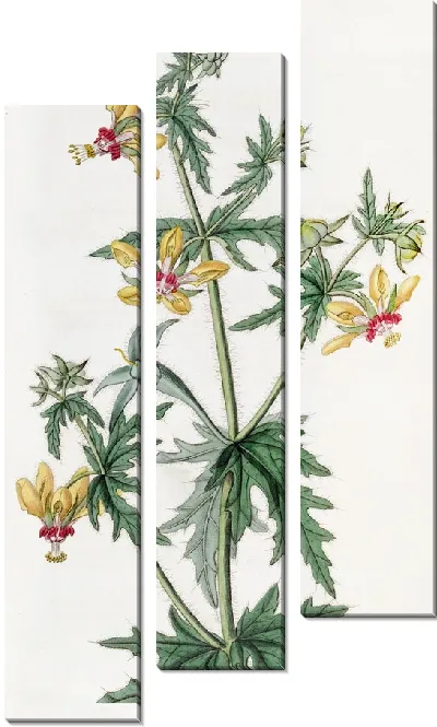 Картина Лоаса мистера Плейса (1815-1819)