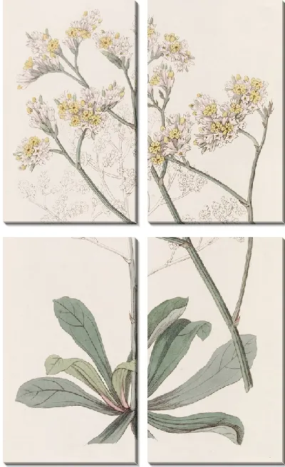 Картина Морская лаванда мистера Фортуны (1815-1819)