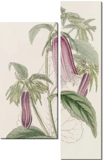 Картина Благородный колокольчик (1815-1819)