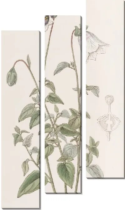 Картина Оватный мешочек (1815-1819)