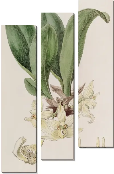 Картина Пале Стения (1815-1819)