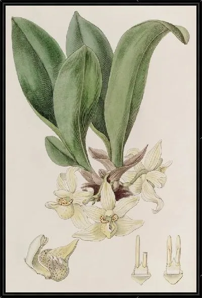 Картина Пале Стения (1815-1819)