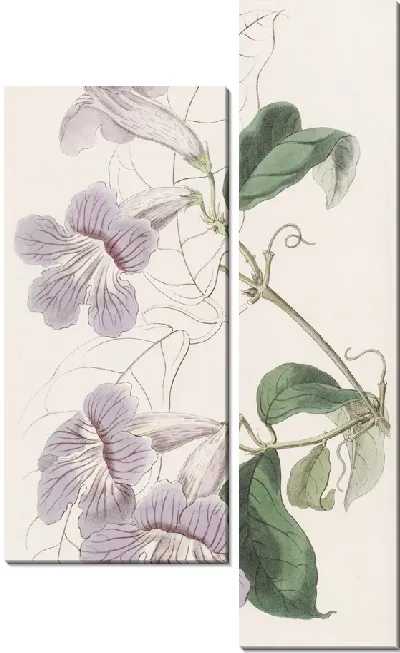 Картина Расписная Бегония (1815-1819)