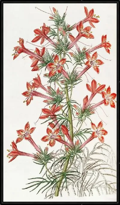 Картина Вороногая Гилия (1815-1819)