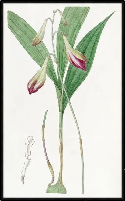 Картина Криба с розовыми цветами (1815-1819)