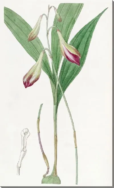 Картина Криба с розовыми цветами (1815-1819)