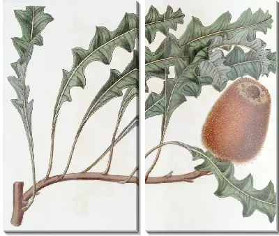 Картина Поверженная Банксия (1815-1819)