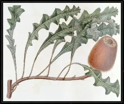 Картина Поверженная Банксия (1815-1819)