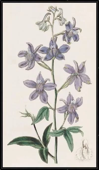 Картина Симпатичная живость (1815-1819)